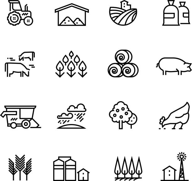 Farm harvest linear vector icons. Agronomy and farming pictograms. Agricultural symbols Farm harvest linear vector icons. Agronomy and farming pictograms. Agricultural symbols, farm field, agricultural equipment, tractor transport illustration wheat ranch stock illustrations