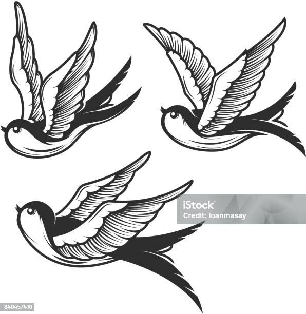 Set Of Swallow Illustrations Isolated On White Background Design Elements For Emblem Sign Badge T Shirt Vector Illustration Stock Illustration - Download Image Now