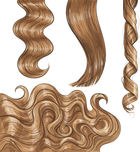 100+ Long Brown Wavy Hair Stock Illustrations, Royalty-Free Vector