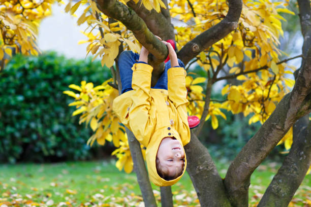 istock Cute little kid boy enjoying climbing on tree on autumn day 840457584