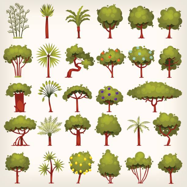 ağaçlar set - mantar ağacı stock illustrations