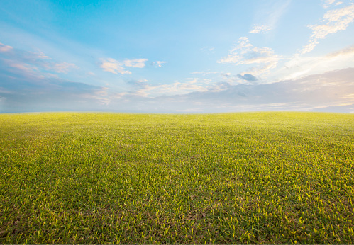 hermosa mañana cielo y verde hierba vacía usan como telón de fondo de fondo photo