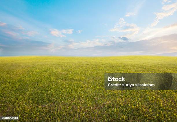 美しい朝の空と空の緑の草の背景の背景として使用します - 芝草のストックフォトや画像を多数ご用意 - 芝草, 田畑, 開いている