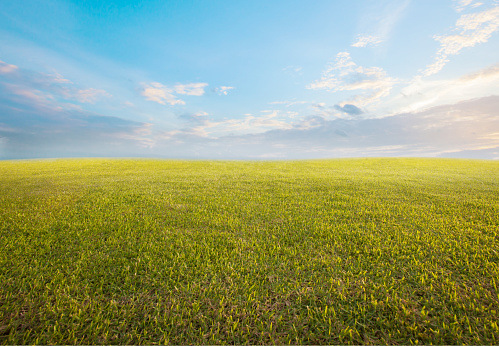 As the morning sun casts its gentle rays, an idyllic landscape unfolds with lush green fields. Traces of a tractor's path add a touch of rustic charm to the scene, capturing the essence in Dorset, South England, United Kingdom