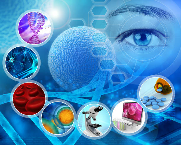 медицинская концепция �научных исследований - исследования стволовых клеток стоковые фото и изображения