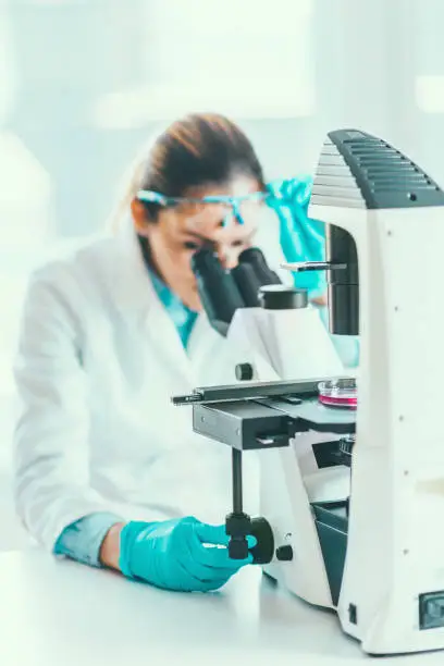 Photo of Female scientist researching samples in laboratory