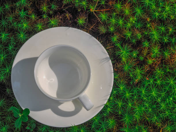 istock Relax time, empty white cup  green grass background in morning sun light. Copy space. Yin Yang 840469168