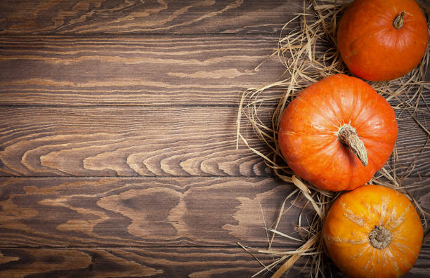istock Autumn Pumpkin Thanksgiving Background 840472280