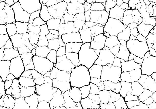 Vector cracked texture of dry earth Grunge overlay background dry cracked soil stock illustrations