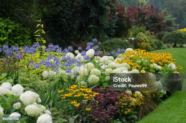 Englische Mehrjährige Grenze Stockfoto und mehr Bilder von Mehrjährige Pflanze - Mehrjährige Pflanze, Blume, Blumenbeet