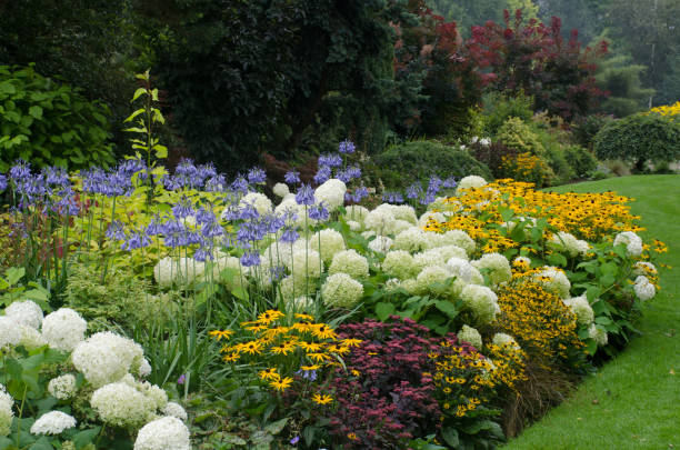 inglés frontera perenne - flower bed fotografías e imágenes de stock