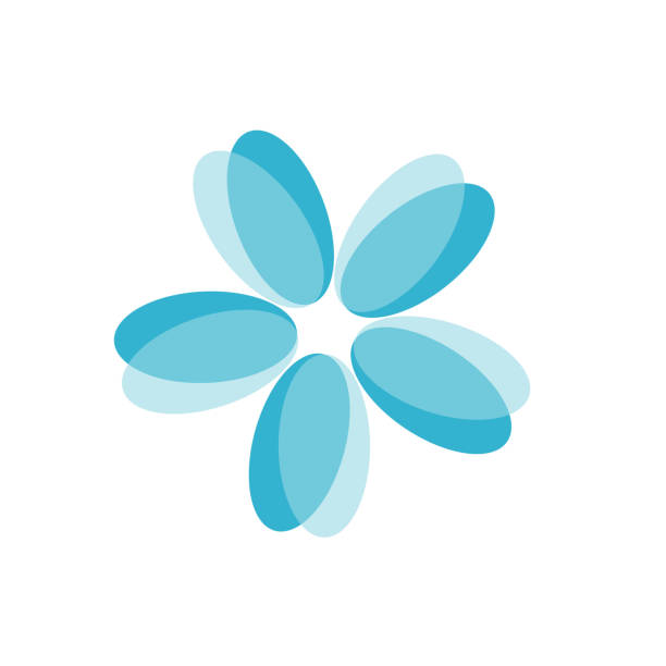 Blue flower isolated on white background