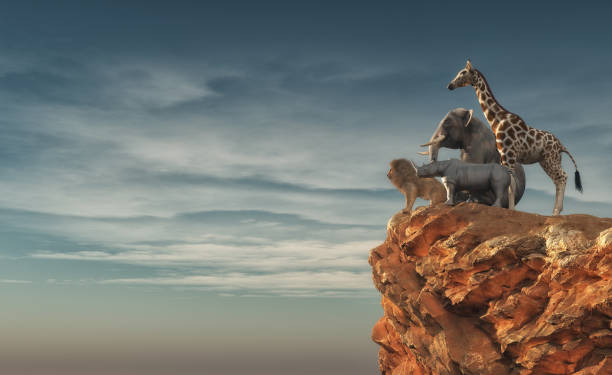 The Wild Animals Stock Photo - Download Image Now - Lion - Feline, Abstract, Elephant - iStock The Wild Animals Stock Photo - Download Image Now - Lion - Feline, Abstract, Elephant - iStock