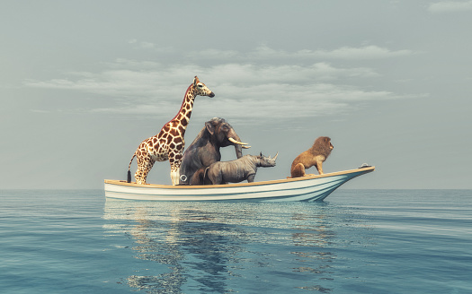 Wild animals - lion, rhino, elephant, giraffe, sitting in a boat by sea.  This is a 3d render illustration