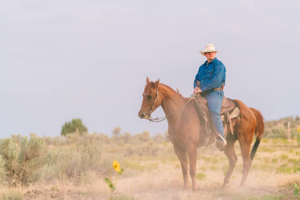istock Lonesome cowboy sitting on his horse 840496452