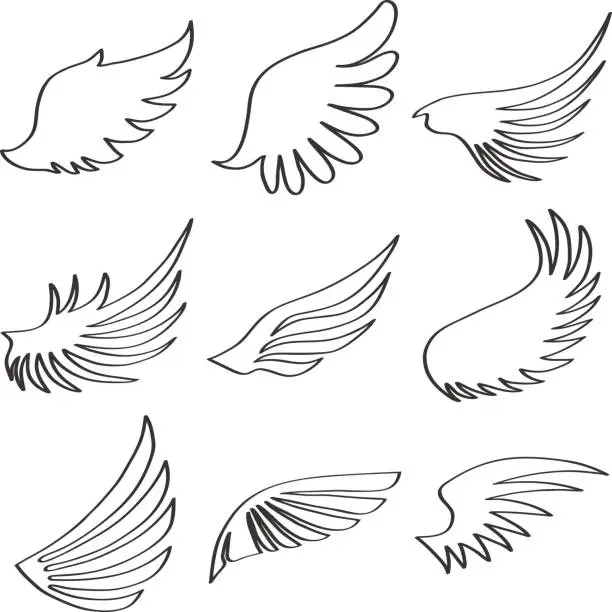 Vector illustration of Wings of an angel, black and white wings of an angel.