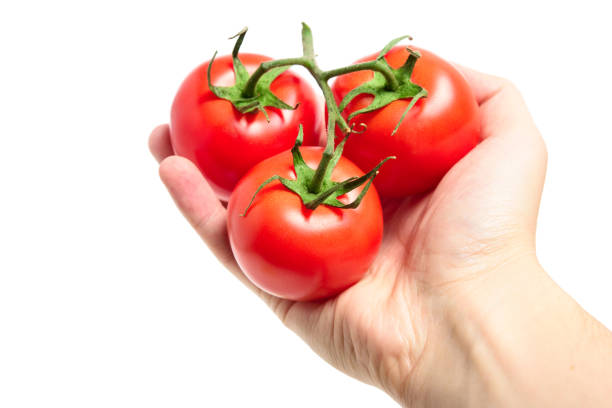 istock Three red tomatoes in hand isolated on white background 840500712