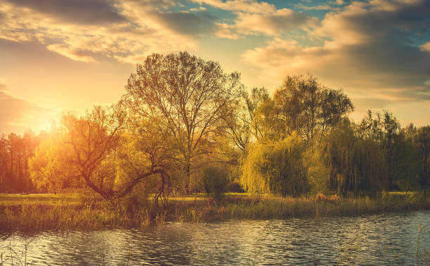 istock Beautiful nature photo in the forest 840502050