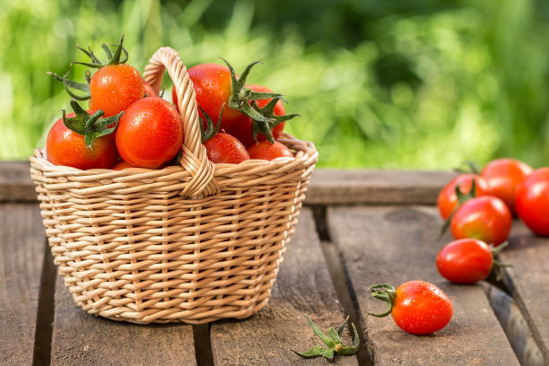 istock Red tomatoes in wicker basket on  wooden table 840505180