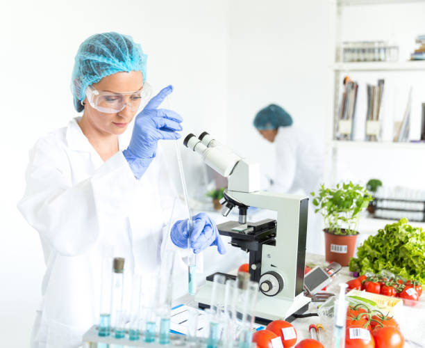 microbiólogos mujer haciendo investigaciones en laboratorio - bacterium biology control food fotografías e imágenes de stock