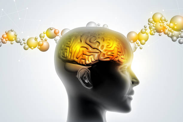 istock Man head showing the human brain 840509300