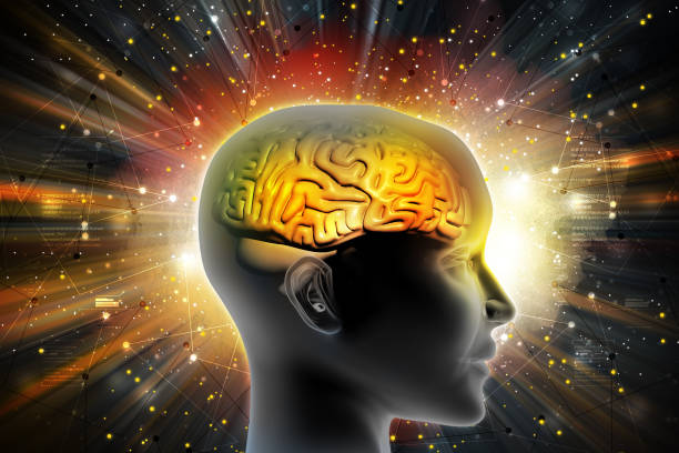 istock Man head showing the human brain 840509510