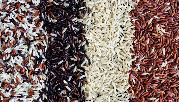 istock Food background with four rows of rice varieties 840517366