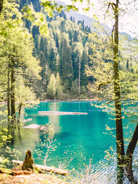 istock Beautiful landscape, mountain lake and mountains with trees 840518646