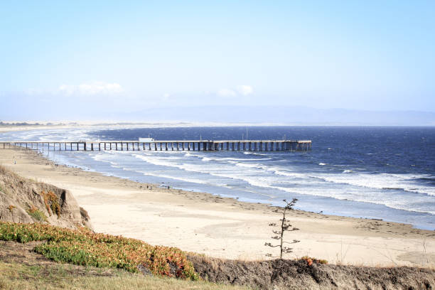 istock Peaceful moment on the West Coast 840518734