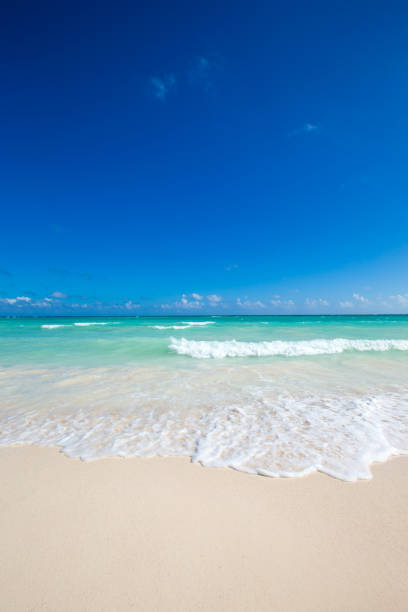 istock tropical beach in Maldives 840519520