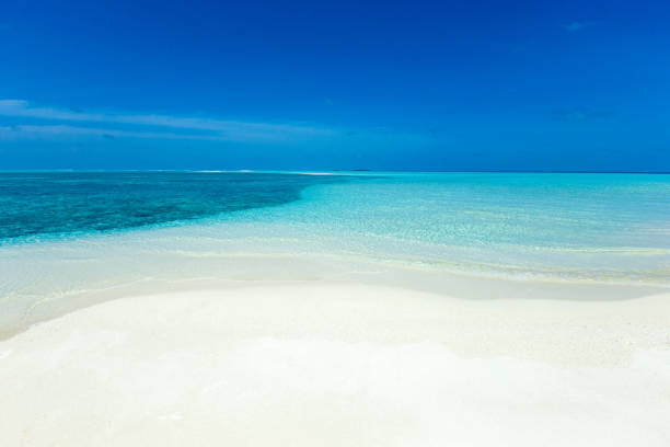 istock tropical beach in Maldives with few palm trees and blue lagoon 840519552
