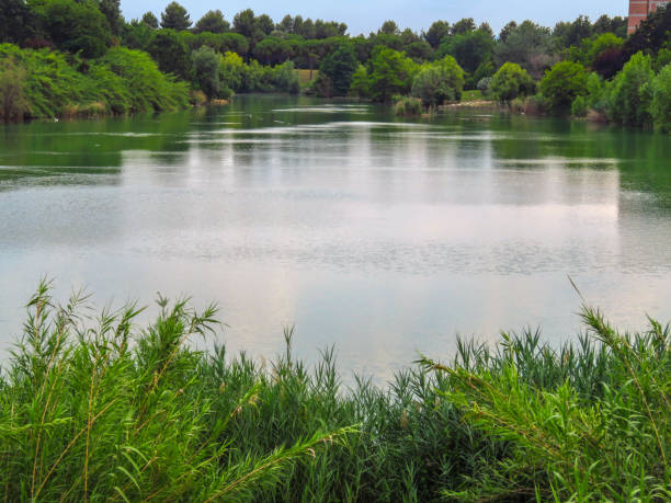 istock Rimini - Pond in the public park 840525856