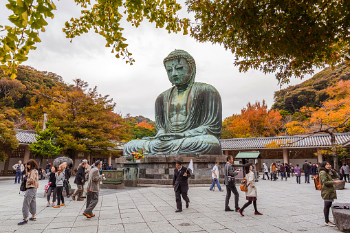 KAMAKURA, JAPAN - NOVEMBER 10, 2016: Tourists at statue of The Great Buddha of Kamakura, Japan. Monumental outdoor bronze statue of Amida Buddha is one of the most famous icons in Japan.