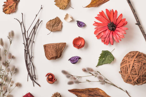 istock Autumn creative set of dry plants 840533802