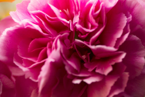 istock Colors of life 840534134