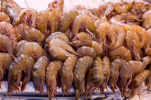 jumbo shrimp at sale in fishmarket of kadikoy istanbul