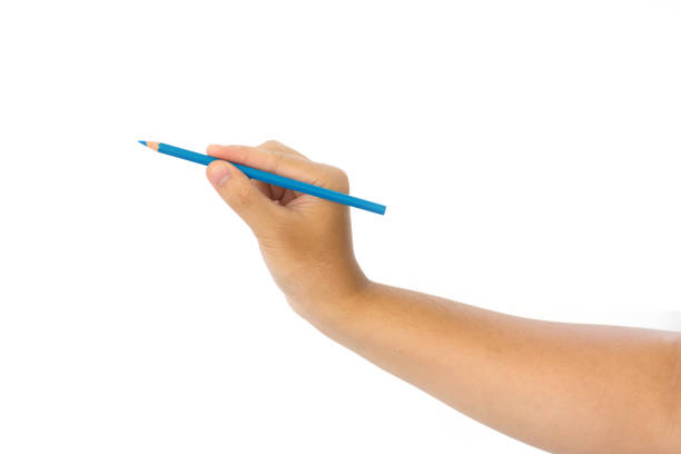 istock Men hand holding blue pencil  isolated on white background 840536062