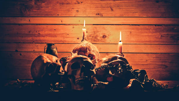 istock The visual art still life image of human skulls and jaw bone 840547234
