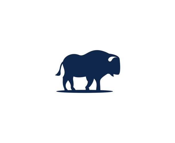 illustrazioni stock, clip art, cartoni animati e icone di tendenza di icona di buffalo - bufalo africano