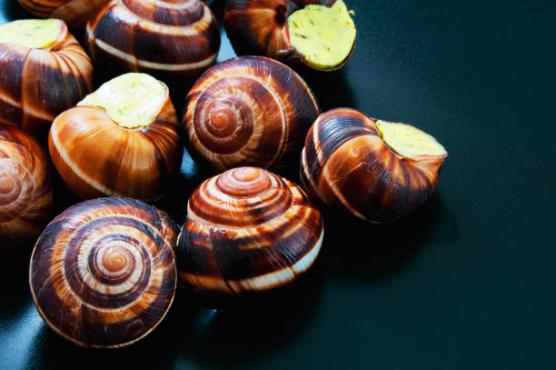 istock Snails on a dark plate. French dish. 840552538