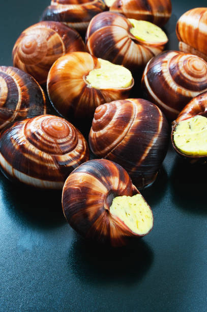 istock Snails on a dark plate. French dish. 840552556