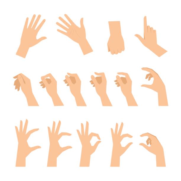 Various gestures of human hands isolated on a white background. Various gestures of human hands isolated  on a white background. Vector flat illustration of female hands in different situations. Vector design elements for infographic, web, internet, presentation. human finger illustrations stock illustrations