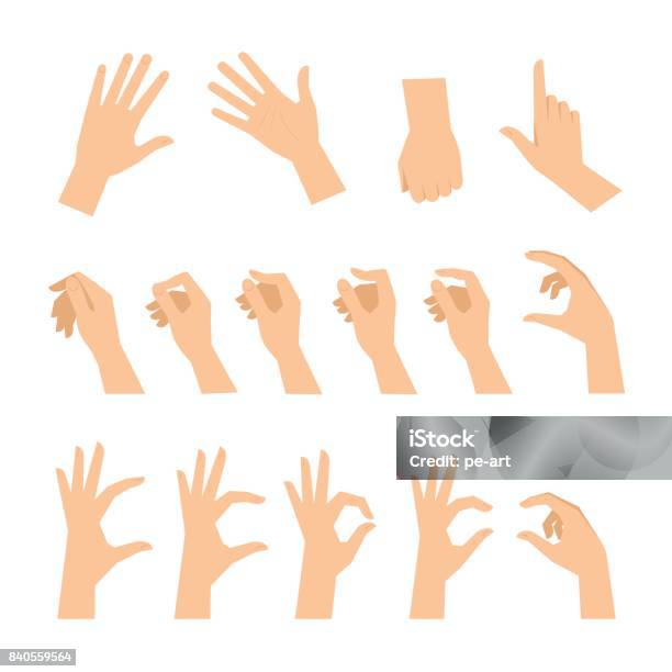 Various Gestures Of Human Hands Isolated On A White Background Stock Illustration - Download Image Now