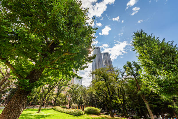 istock Shinjuku Central Park in a refreshing morning 840566136