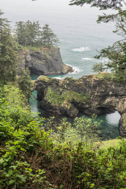 istock Natural Bridges Cove, Oregon 840566306