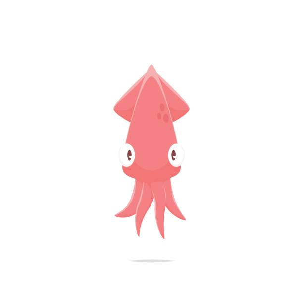 Cartoon squid vector isolated Vector element calamari stock illustrations