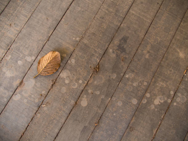 Shoes on a pile of leaves, placed on a wooden floor. Autumn feelings background.