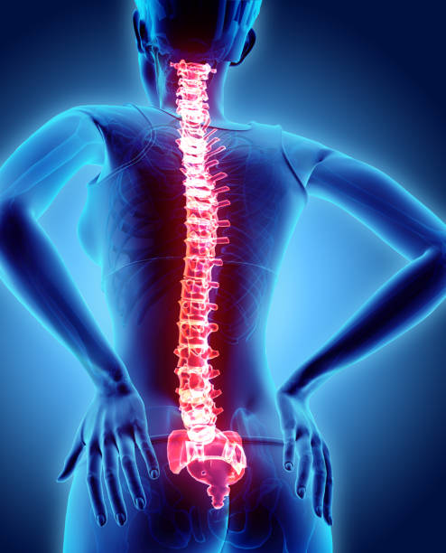 istock 3D Illustration of sacral and cervical painful. 840585164