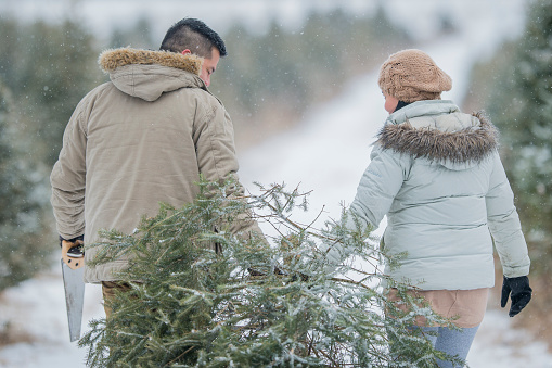 An Asian husband and wife are outdoors on a snowy winter day. They are wearing hats, coats and gloves. They are pulling a Christmas tree through the snow.