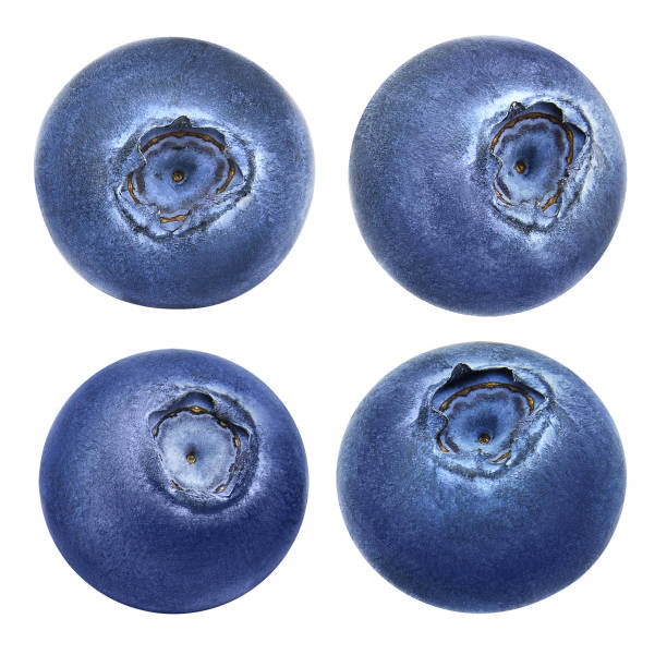 istock Set of fresh blueberries. 840586374